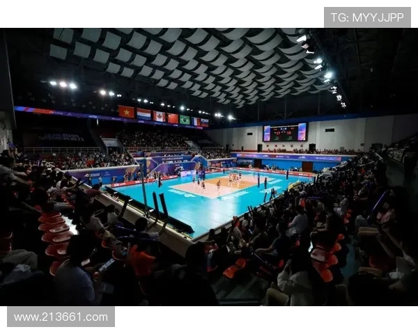 上海排球队比赛经验的创新与变革引发热议