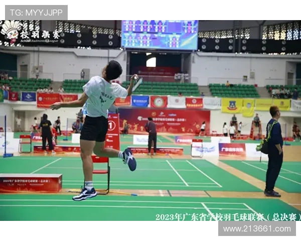 广州羽毛球队总决赛精彩点评团队协作展现无遗的默契与实力